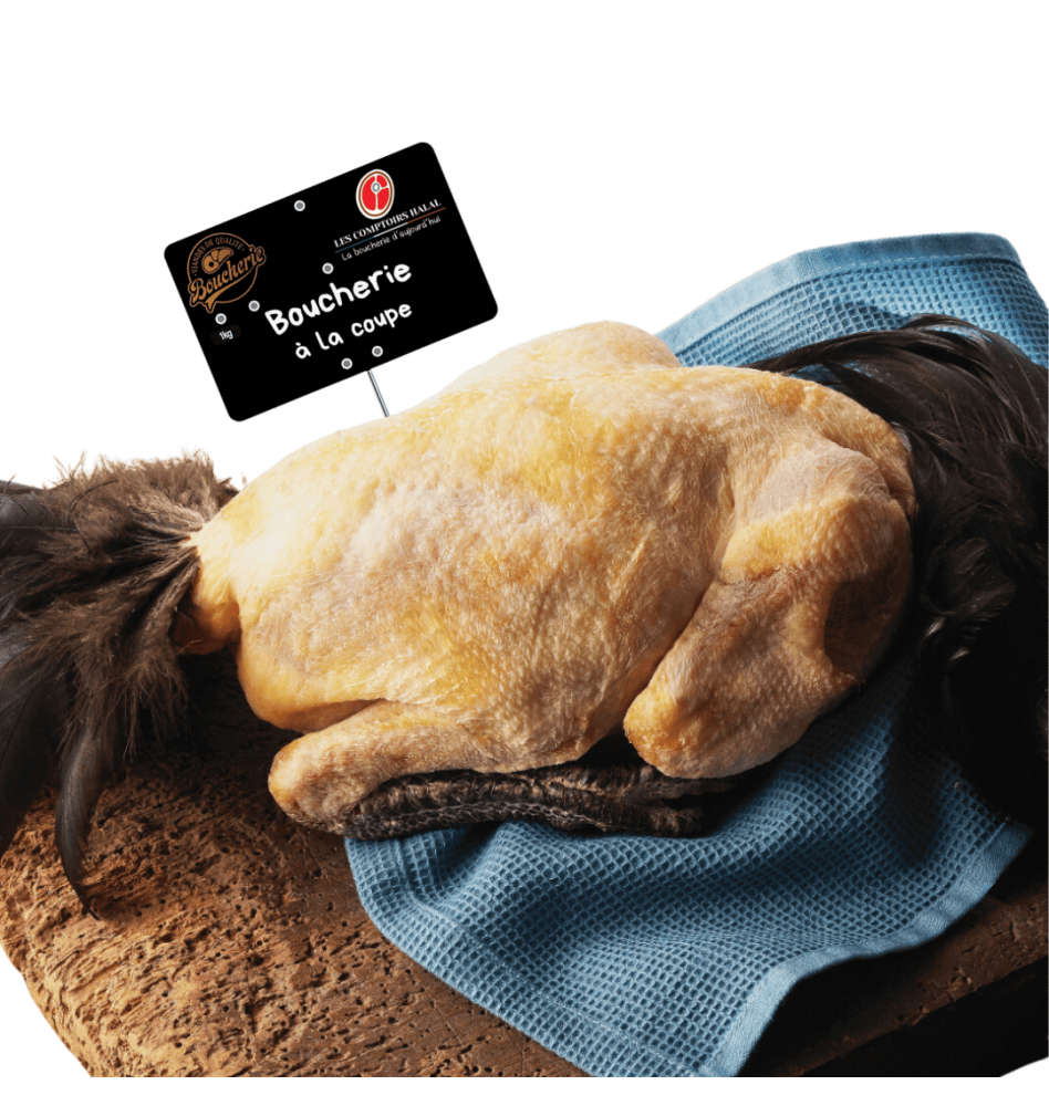 Chapon Gascon farci halal - Livraison rapide Chapon Gascon farci halal - Livraison rapide