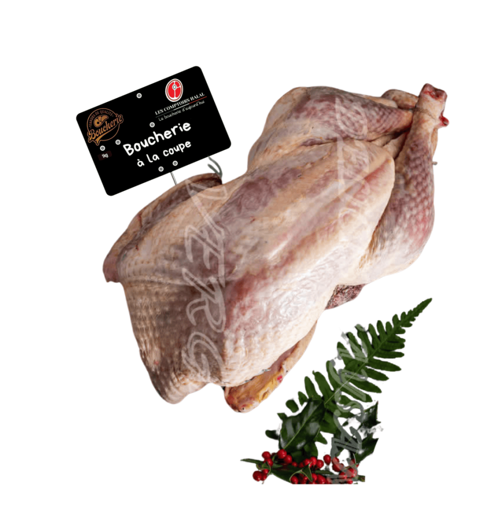 Dinde PAC – Volaille entière à rôtir | Les Comptoirs Halal