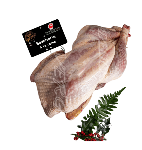 Dinde PAC – Volaille entière à rôtir | Les Comptoirs Halal