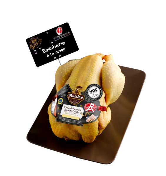 Poularde Fermière – Volaille festive | Les Comptoirs Halal