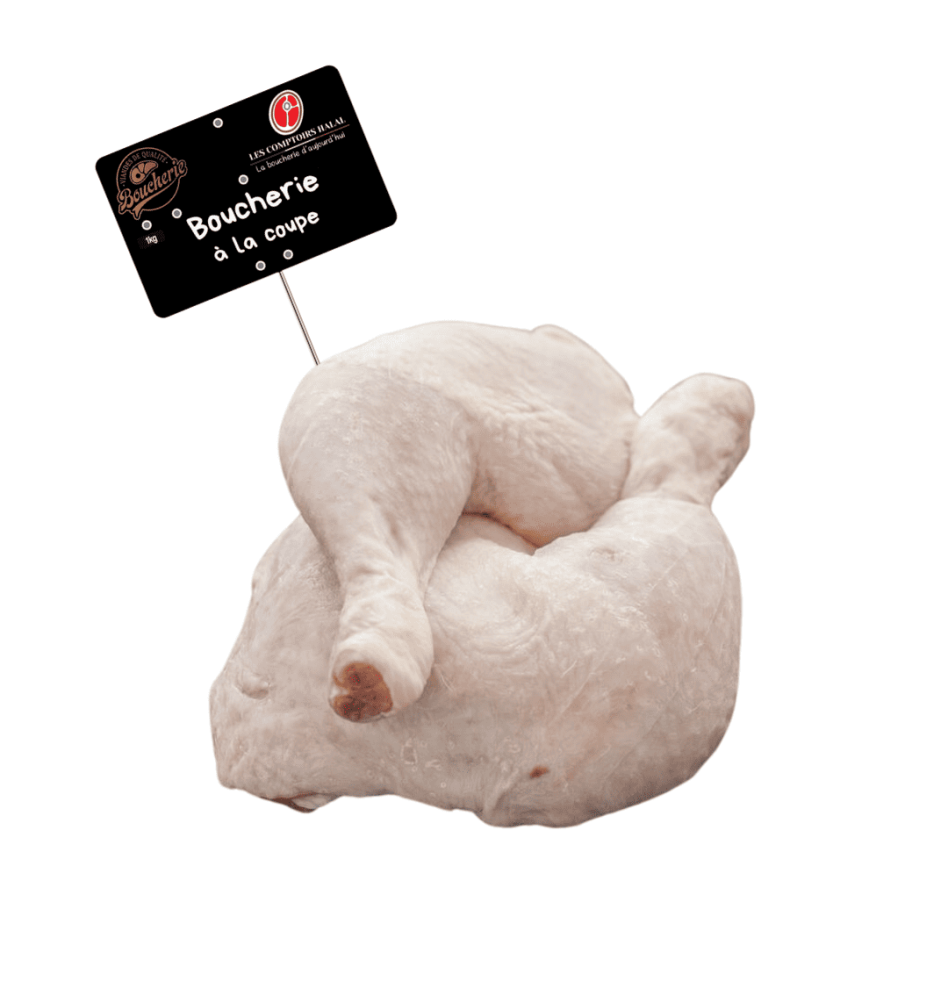 Cuisse de Poulet Halal – Idéale pour Vos Recettes Cuisse de Poulet Halal – Idéale pour Vos Recettes