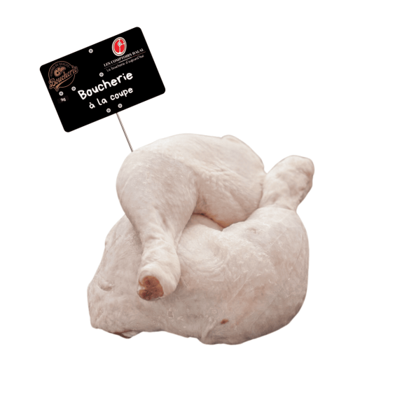 Cuisse de Poulet Halal – Idéale pour Vos Recettes