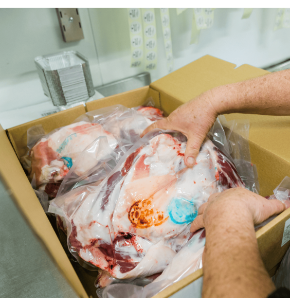 Agneau Aqiqa - Sacrifice halal en votre nom - Les Comptoirs Halal