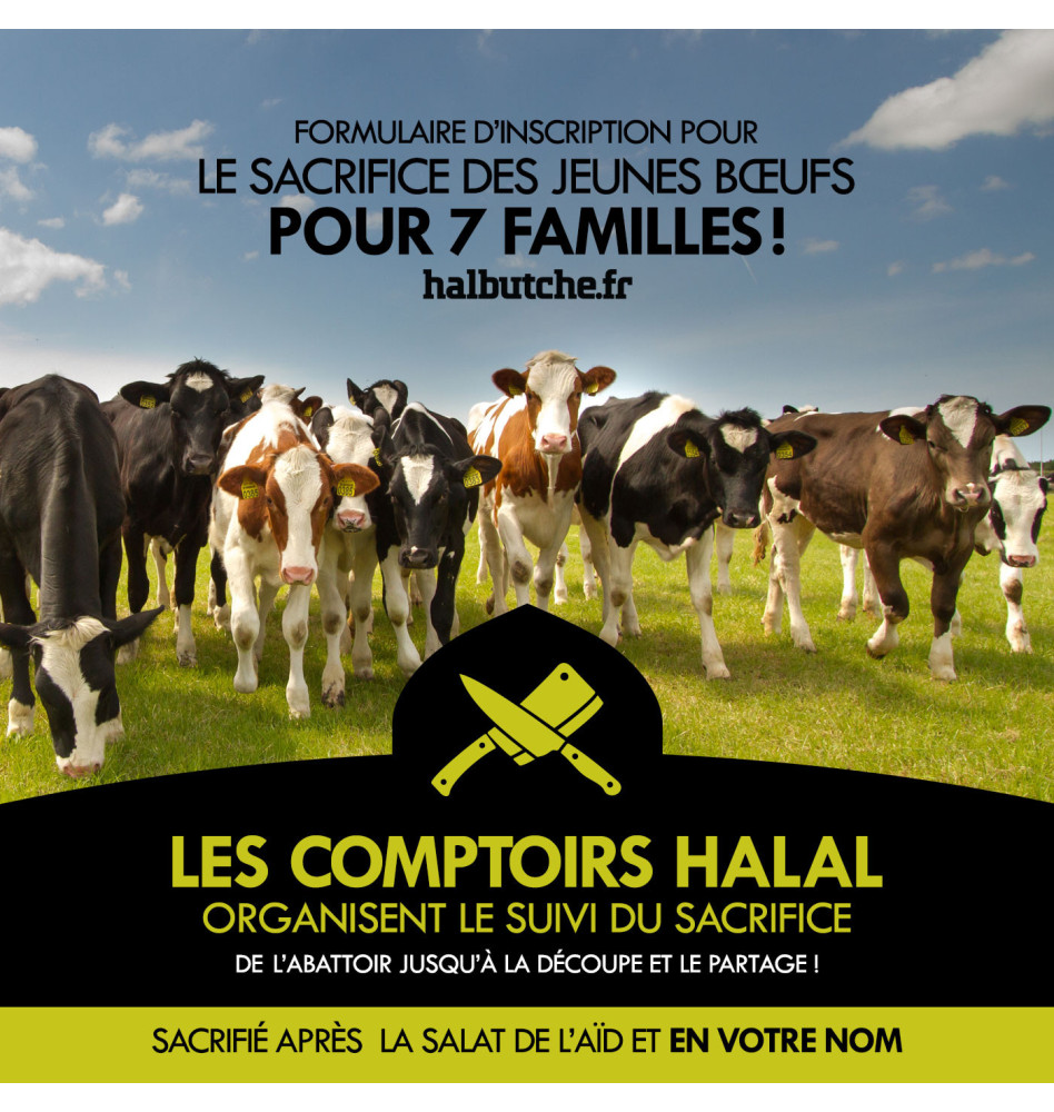 Bœuf Aid El Kebir - 1/7e du bœuf pour sacrifice - Les Comptoirs Halal