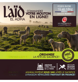 Agneau Aid El Kebir - Sacrifice halal en votre nom - Les Comptoirs Halal