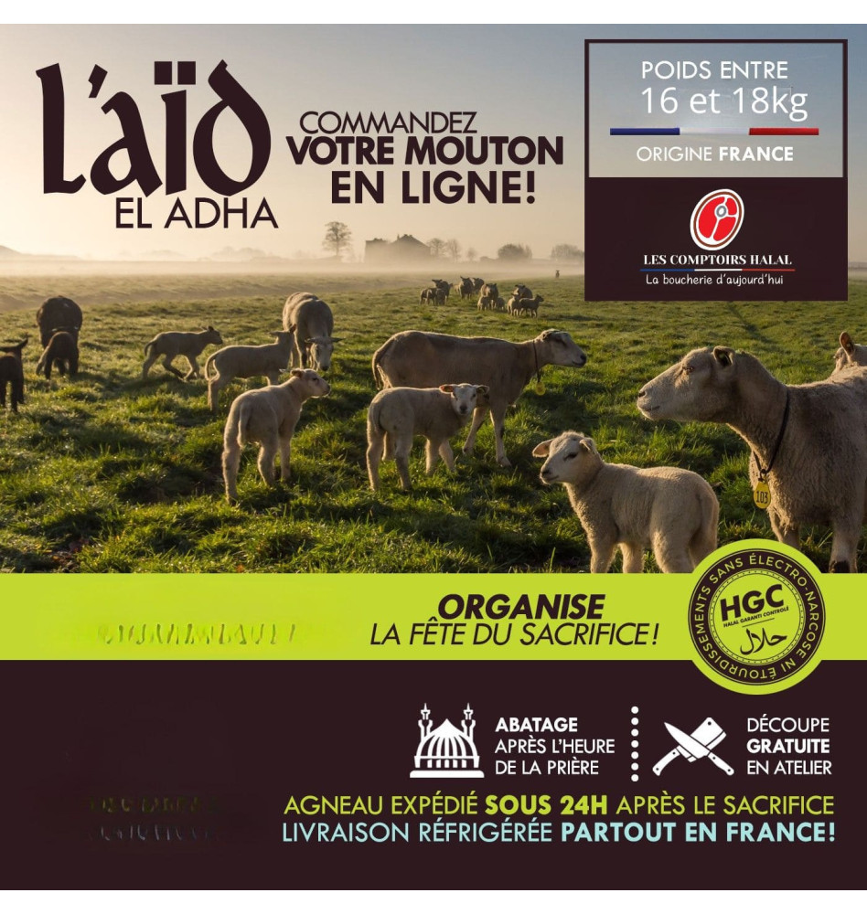 Agneau Aid El Kebir - Sacrifice halal en votre nom - Les Comptoirs Halal