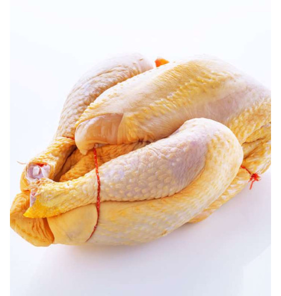 Poulet fermier – Goût supérieur et naturel | Les Comptoirs Halal