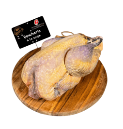 Pintade Fermière – Volaille de caractère | Les Comptoirs Halal