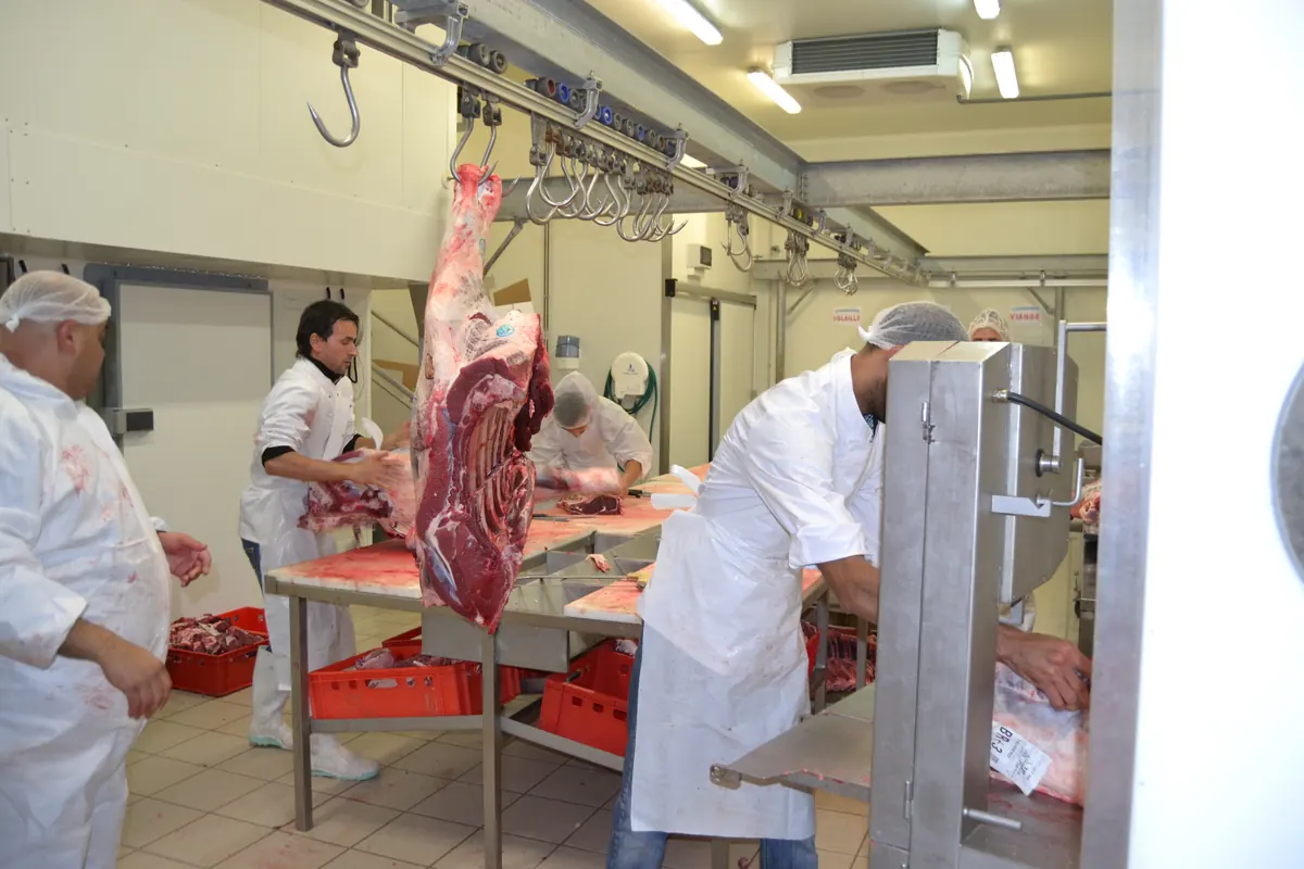 Découpe d'une carcasse de bœuf en atelier, Les Comptoirs Halal