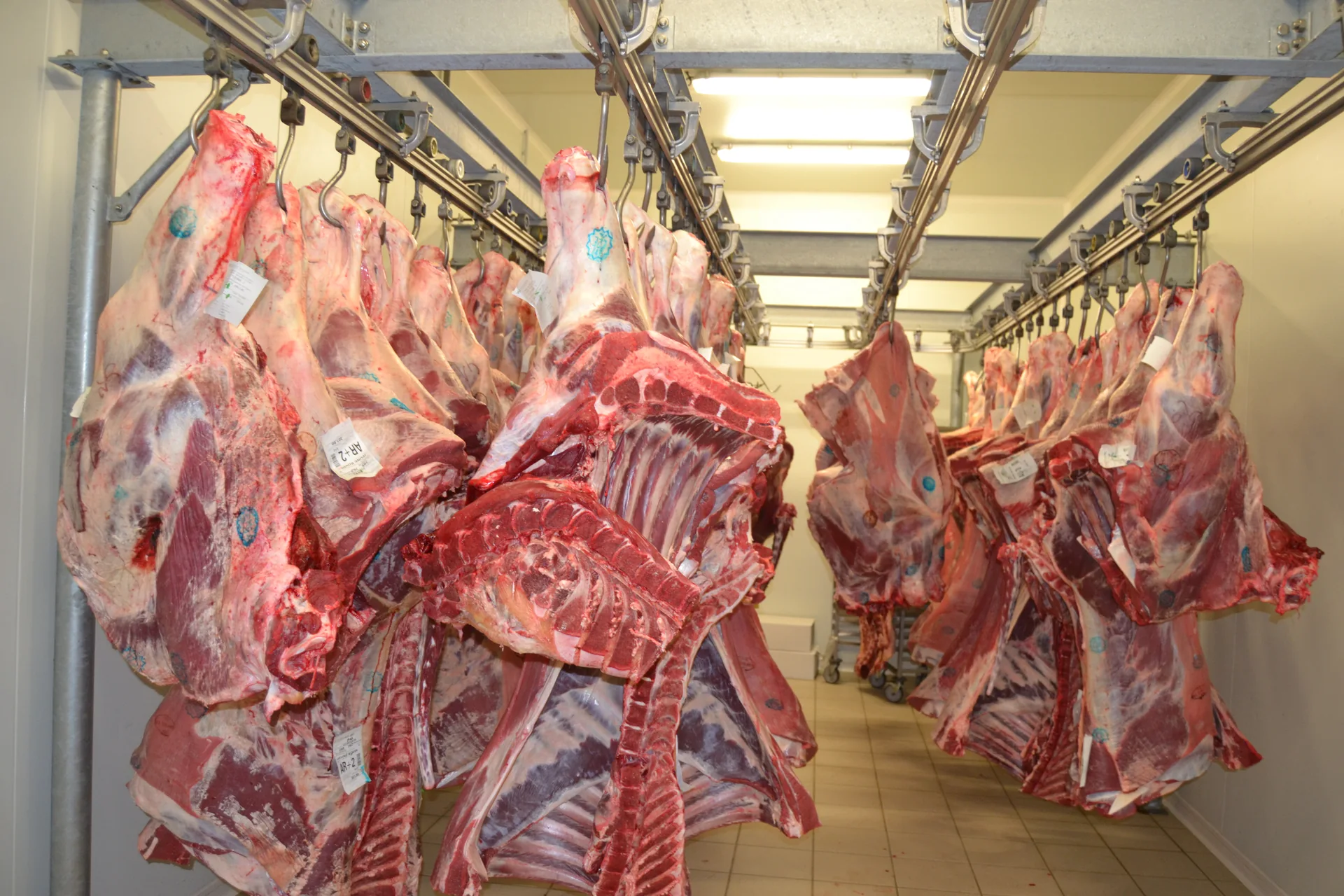 Carcasses certifiées halal en chambre froide, Les Comptoirs Halal