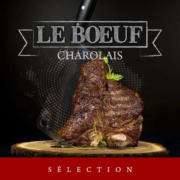 Le Bœuf Charolais halal - sélection de viande de bœuf