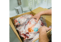 Le Sacrifice de l'Aïd el-Kébir (Aïd al-Adha) : Obligations et Pratiques selon l'Islam